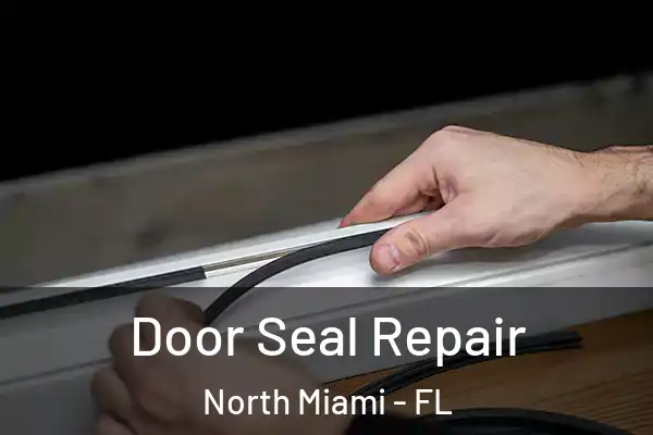 Door Seal Repair North Miami - FL