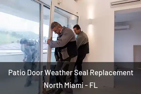 Patio Door Weather Seal Replacement North Miami - FL